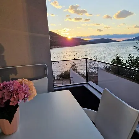 Elegance Dream *