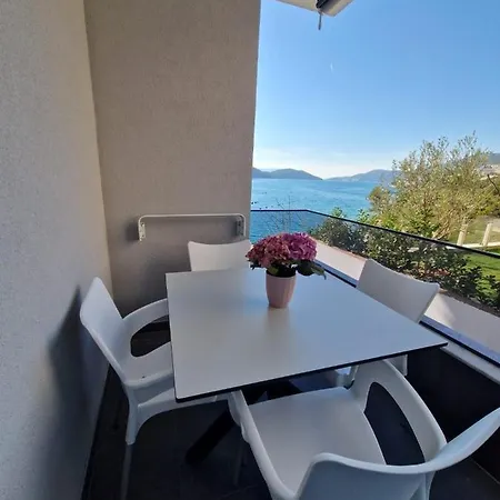 Elegance Dream Neum