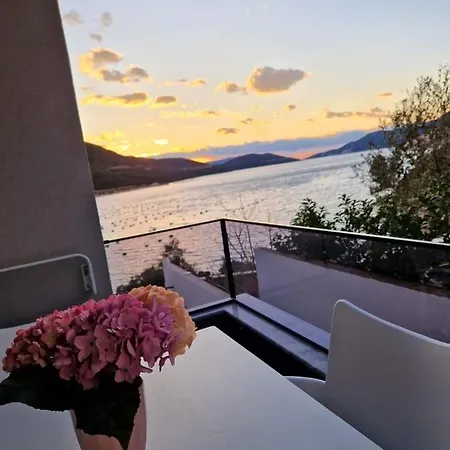 Elegance Dream *