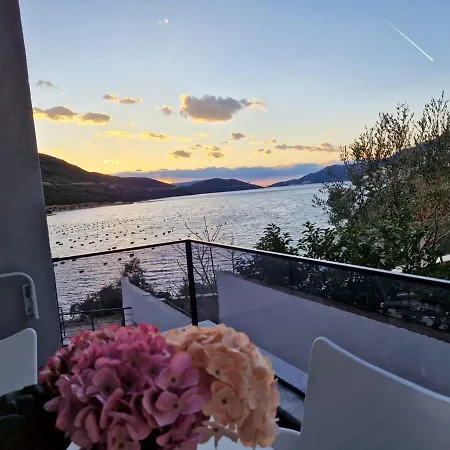 Elegance Dream アパート *